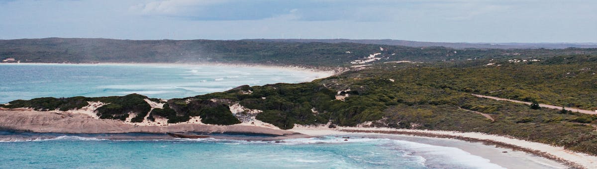 Kangaroos on the white sand beach at Lucky Bay, Esperance