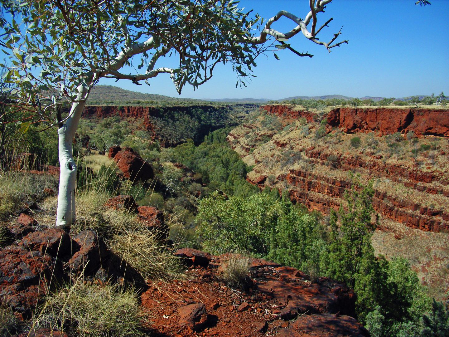 Parois rouges stratifiées et végétation dans Dales Gorge, avec un arbre au premier plan.