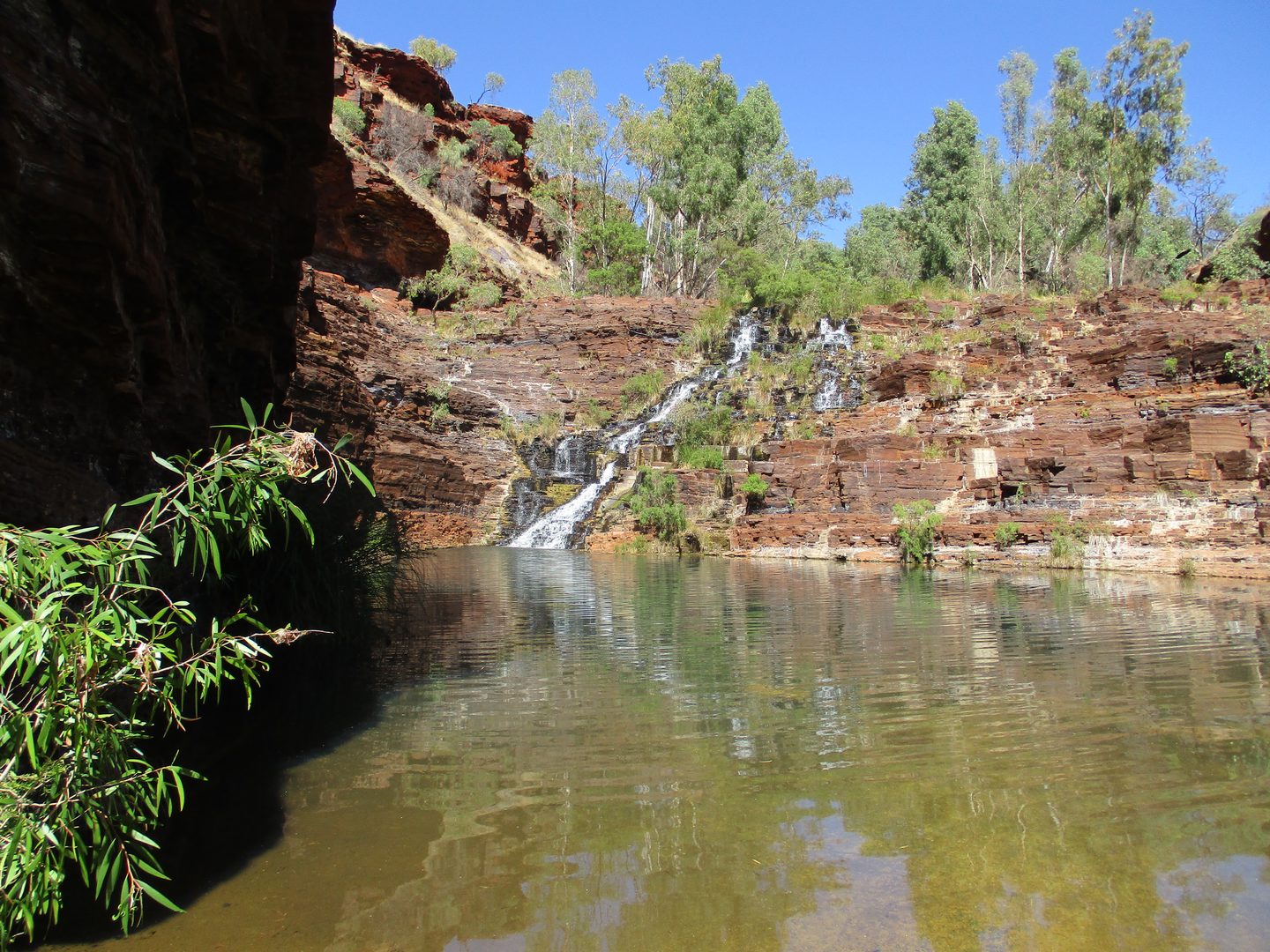 Les Fortescue Falls coulent sur des gradins rocheux vers un bassin de Dales Gorge.