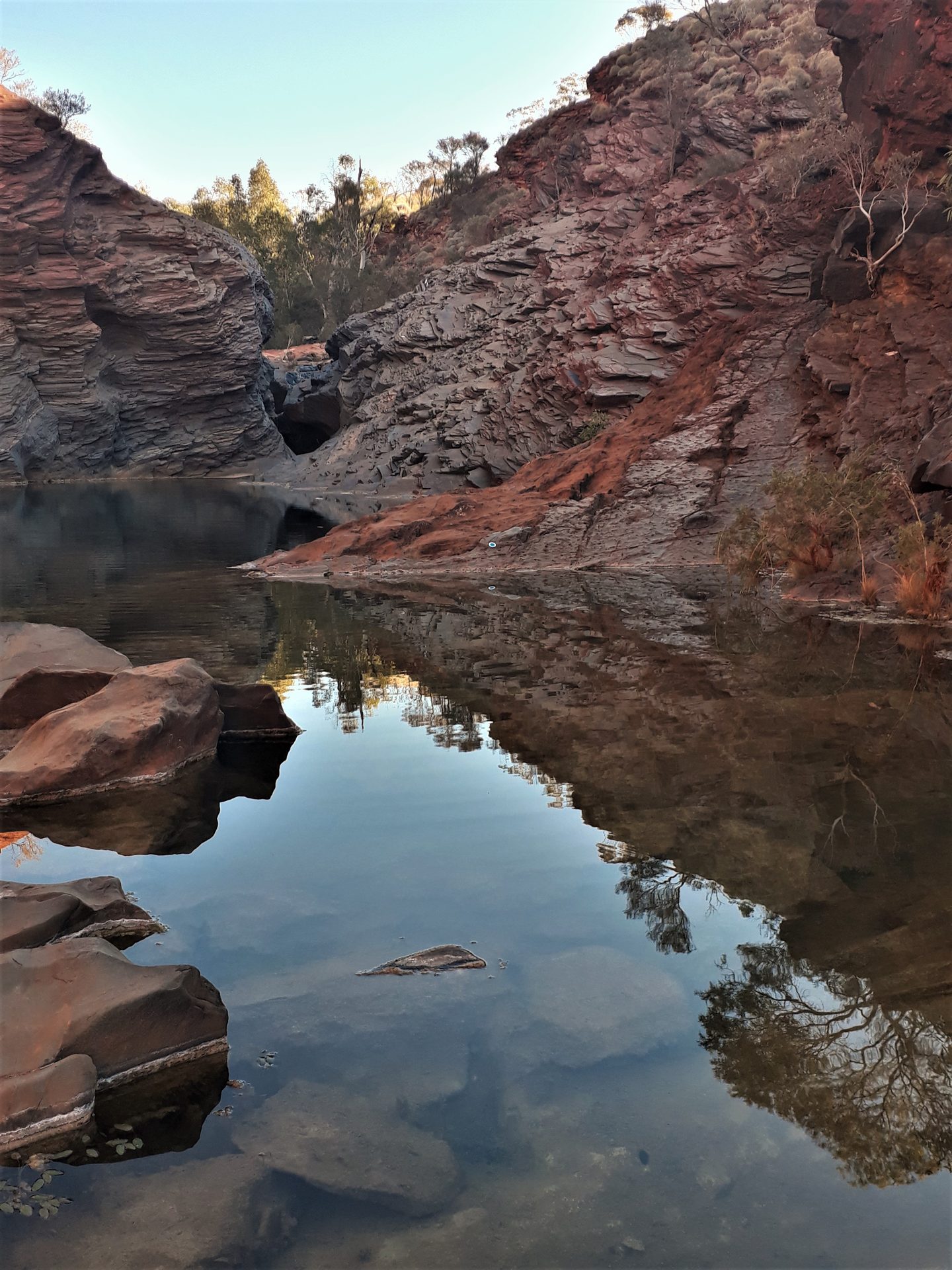 Des couches de roche rouge et grise se reflètent dans un bassin de Hamersley Gorge.