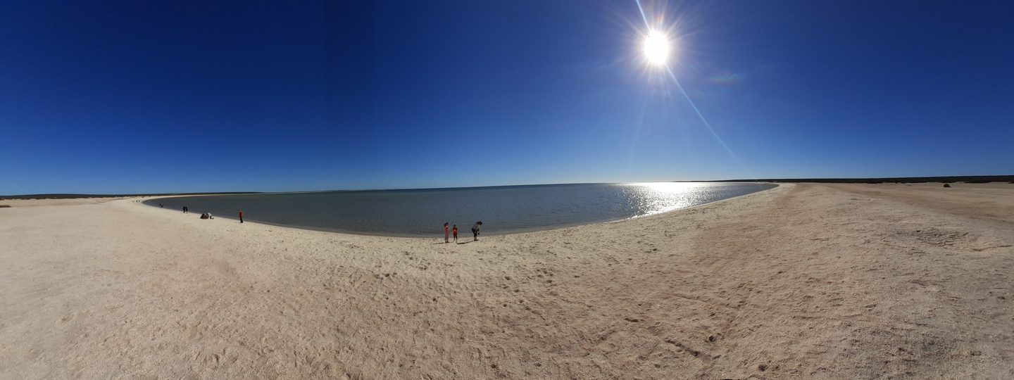 Wide view across the pale shell-covered shore of Shell Beach towards blue water.