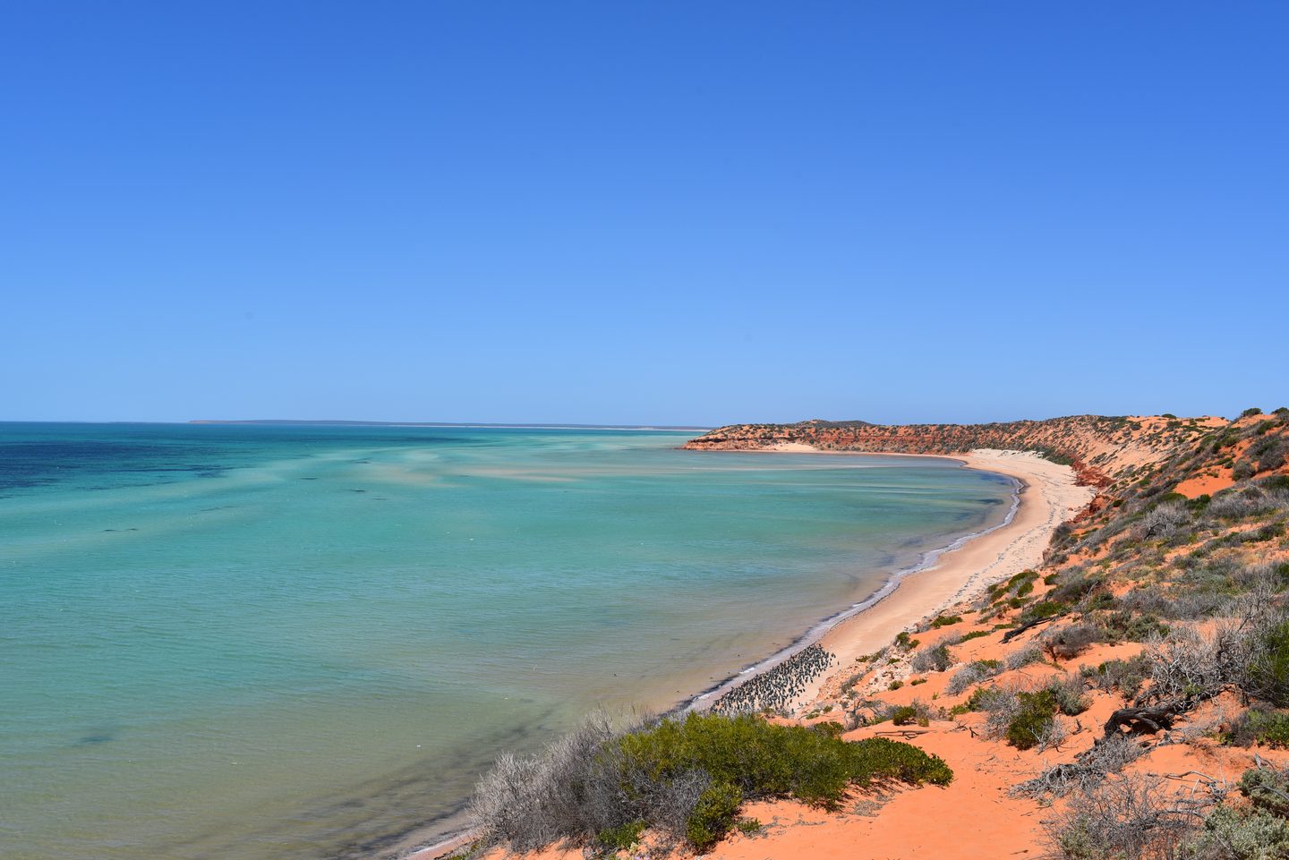 Turquoise water, a pale beach and red coastal cliffs viewed from Skipjack Point.