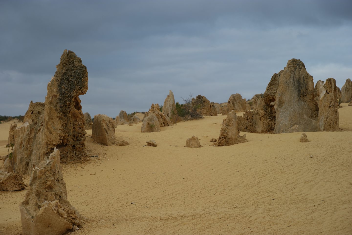 Rough limestone pillars and rippled yellow sand in the Pinnacles Desert.