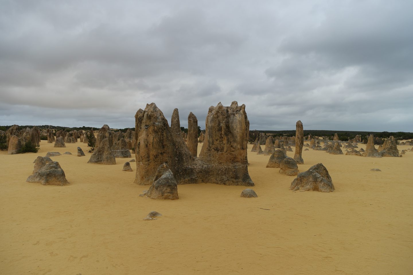 Limestone columns rising from yellow sand beneath a cloudy sky in the Pinnacles Desert.