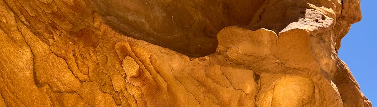 Murchison River carving the Kalbarri gorges